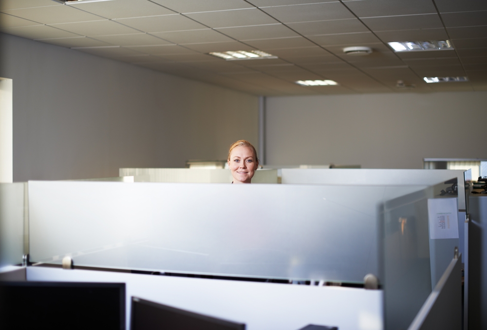 Open benching-style office cubicles arranged for a collaborative team workspace