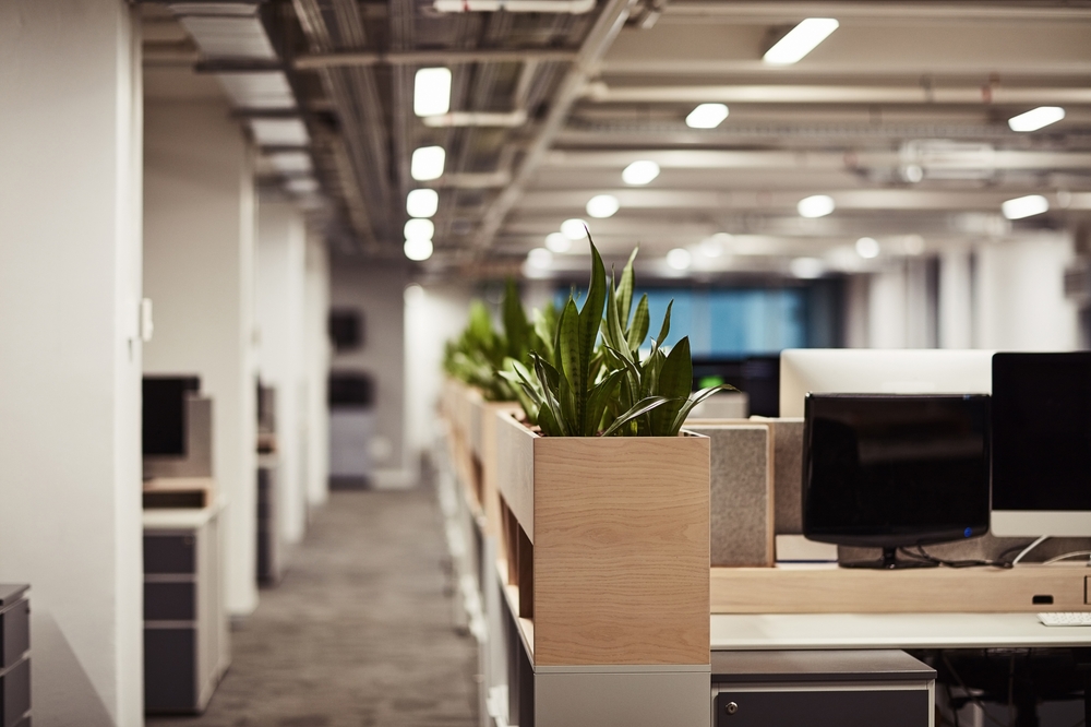 Modern office cubicles with mid-height panels in a bright open-plan Ontario workspace